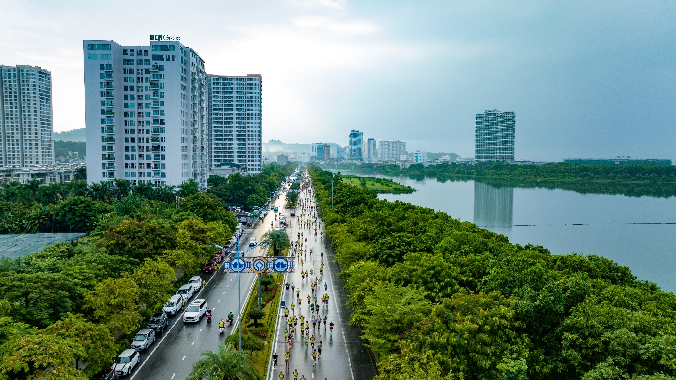 A road with trees and buildings in the background

Description automatically generated